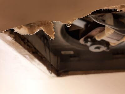 Professional water damage restoration services in Providence - Reliable Restoration